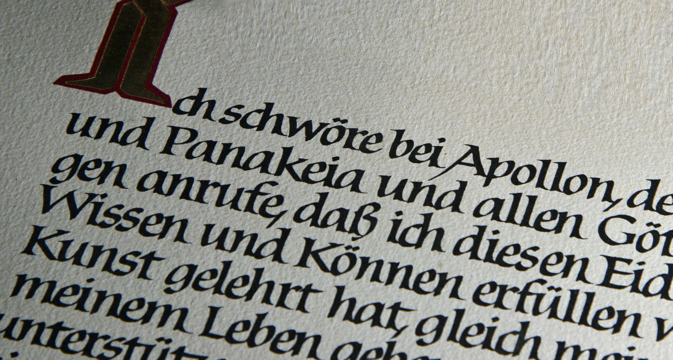 Warum ich jeden Menschen behandele/behandeln werde